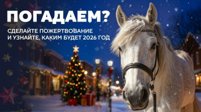 Центр иппотерапии «Айда»