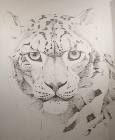 БФ «РЕШЕНИЕ ЖИТЬ»